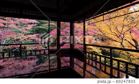 秋の瑠璃光院 秋の瑠璃光院 60247835