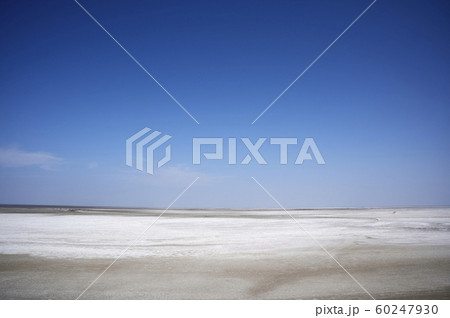 カッチ湿原 ラクパト LAKHPAT インド グジャラート州 ラクパトフォートよりの風景 カッチ湿原 ラクパト LAKHPAT インド グジャラート州 ラクパトフォートよりの風景 60247930