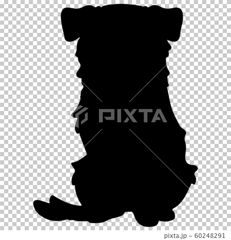 sitting border collie silhouette