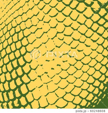 Serpent Skin Texture 60248608