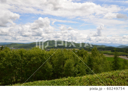 上野ファーム 射的山からの眺望(北海道旭川市) 上野ファーム 射的山からの眺望(北海道旭川市) 60249754