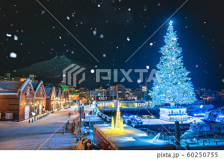 函館クリスマスファンタジー 60250755
