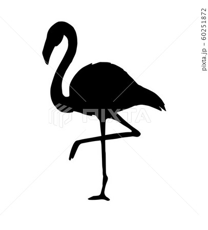 Vector Black Flamingo Silhouetteのイラスト素材