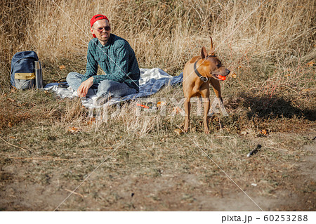 Pleasant picnic with beautiful dog stock photo Pleasant picnic with beautiful dog stock photo 60253288
