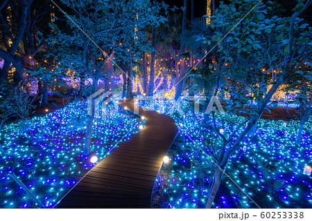 江の島シーキャンドル　イルミネーション　湘南の宝石 60253338