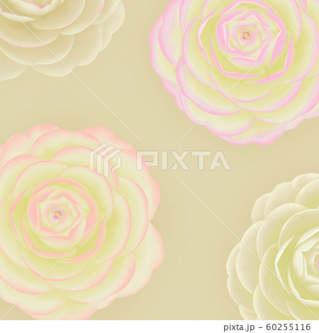 手绘雅致茶花背景插图。 手绘雅致茶花背景插图。 60255116