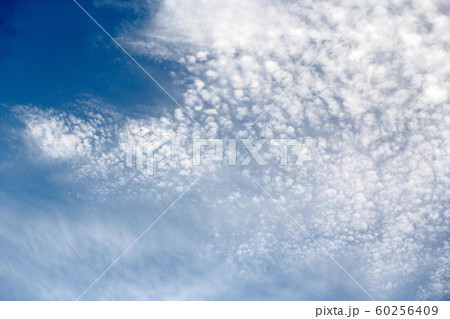青空にうろこ雲 60256409
