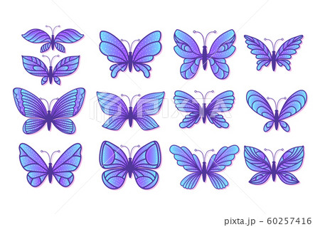 Set hand drawn butterfly with various blue wings. Set hand drawn butterfly with various blue wings. 60257416
