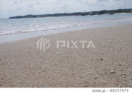 砂浜と波打ち際 砂浜と波打ち際 60257473