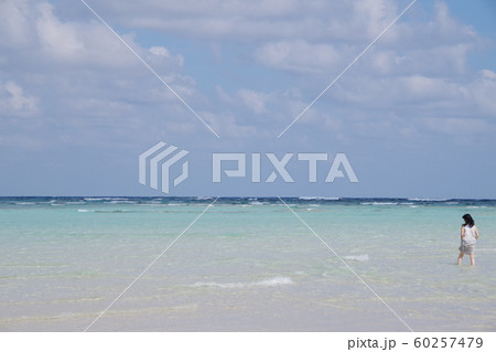 海の散歩 海の散歩 60257479