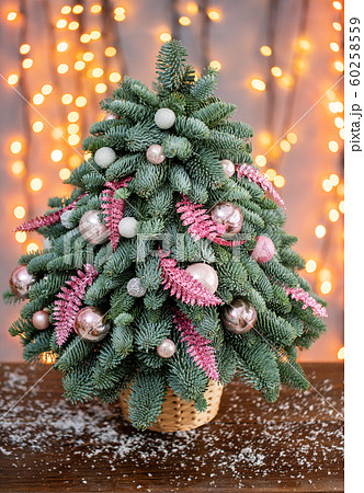 Beautiful small Christmas tree on wooden table. Happy mood. Garland lamp bokeh on background. Wallpaper. Danish pine and fir, Nobilis Beautiful small Christmas tree on wooden table. Happy mood. Garland lamp bokeh on background. Wallpaper. Danish pine and fir, Nobilis 60258559