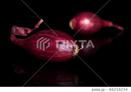 Small red onion bulb isolated on black glass 60259254