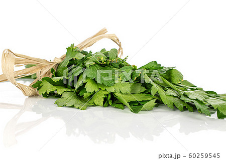 Flat leaf parsley isolated on white Flat leaf parsley isolated on white 60259545