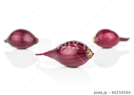 Small red onion bulb isolated on white Small red onion bulb isolated on white 60259560