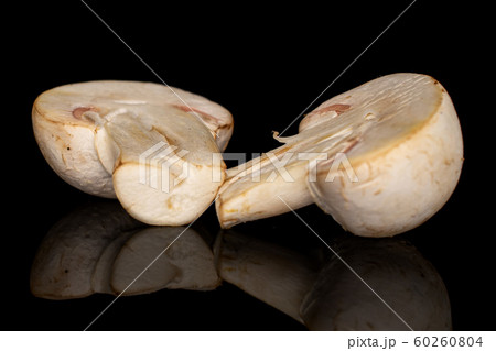 Fresh white mushroom isolated on black glass Fresh white mushroom isolated on black glass 60260804