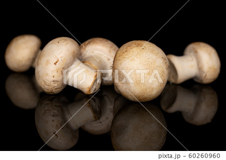 Fresh white mushroom isolated on black glass Fresh white mushroom isolated on black glass 60260960