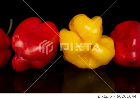Hot chili habanero isolated on black glass Hot chili habanero isolated on black glass 60261644