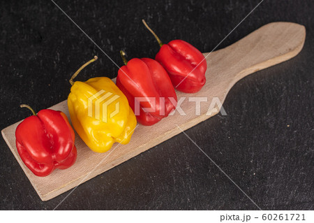 Hot chili habanero on grey stone 60261721