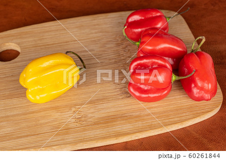 Hot chili habanero on cognac leather Hot chili habanero on cognac leather 60261844