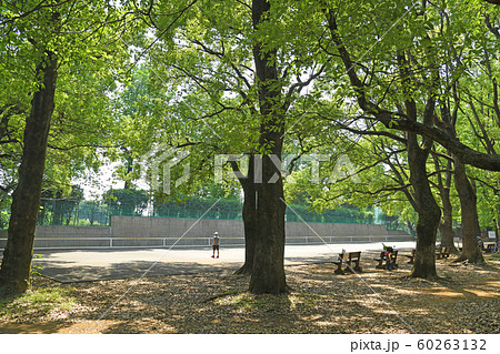東京都調布市 小金井市 三鷹市 野川公園 テニス 東京都調布市 小金井市 三鷹市 野川公園 テニス 60263132