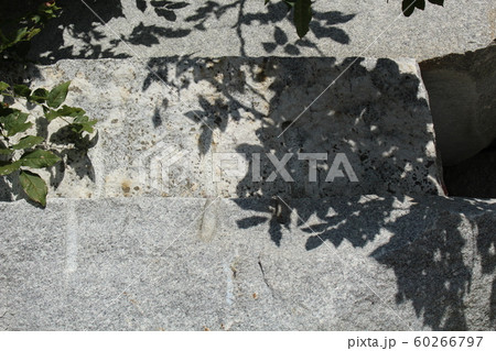 荒い岩肌 60266797