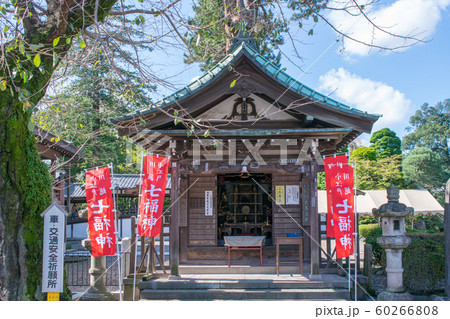 川越市 川越大師喜多院 川越七福神巡り大黒天 川越市 川越大師喜多院 川越七福神巡り大黒天 60266808