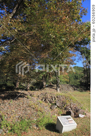 大室古墳群242号墳　長野市 60266909