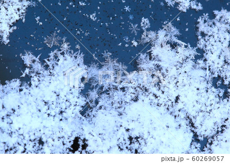 雪の結晶 雪の結晶 60269057