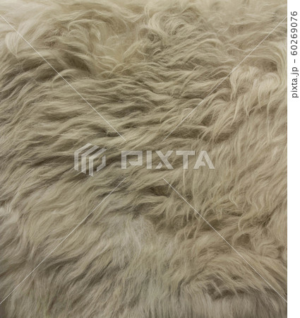 英国　人工毛皮　表面　テクスチャー 60269076