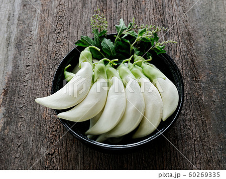 Agasta,Sesban, Vegetable Humming bird, 60269335