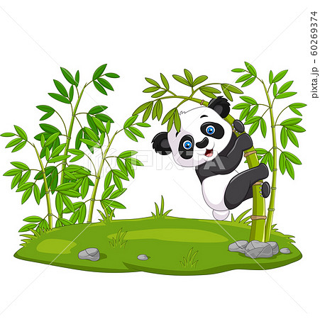 Cute Funny Baby Panda Hanging On The Bambooのイラスト素材