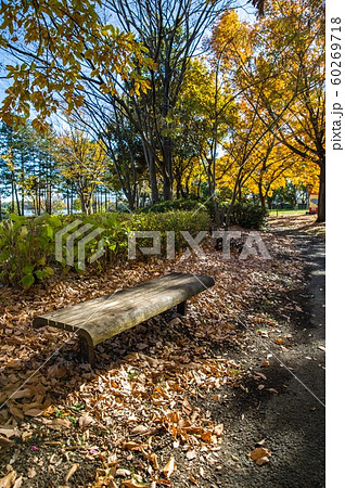 12月正午過ぎ埼玉県久喜菖蒲公園内落ち葉とベンチの風景 12月正午過ぎ埼玉県久喜菖蒲公園内落ち葉とベンチの風景 60269718