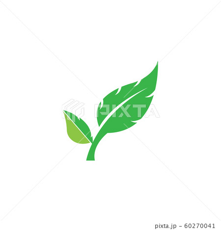 green leaf ecology nature element green leaf ecology nature element 60270041