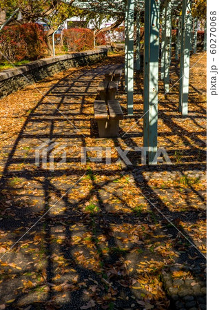 12月正午過ぎ埼玉県久喜菖蒲公園内シルエット 12月正午過ぎ埼玉県久喜菖蒲公園内シルエット 60270068
