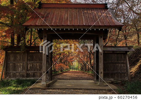 門の先には紅葉のトンネル 60270456