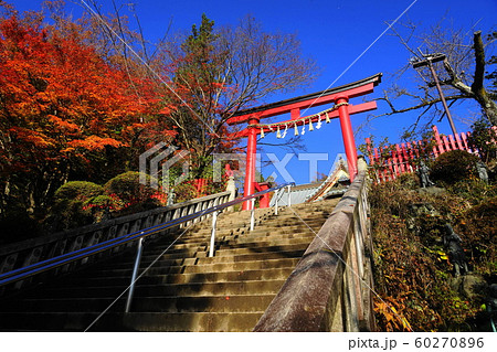 12月　高尾山飯縄権現堂(本社)･八王子24 60270896