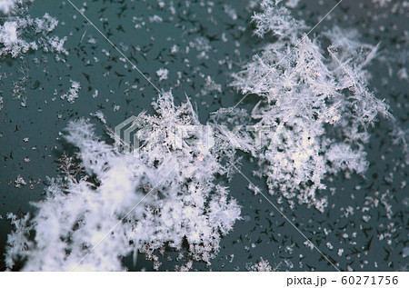 雪の結晶 60271756