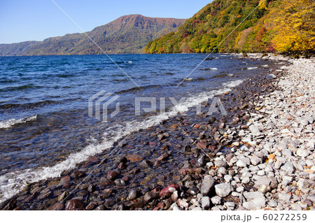 湖畔 十和田湖 湖畔 十和田湖 60272259