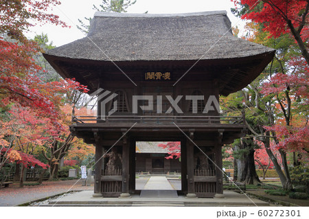 平林寺の紅葉 埼玉県 平林寺の紅葉 埼玉県 60272301