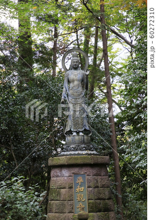 平林寺の紅葉　埼玉県 60272310