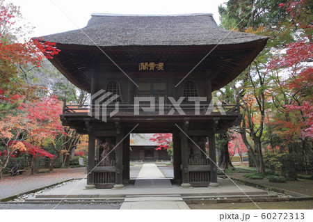 平林寺の紅葉　埼玉県 60272313
