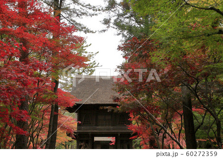 平林寺の紅葉　埼玉県 60272359