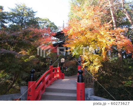 紅葉　寺 60273627