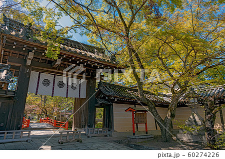 京都 今宮神社 東門の風景 京都 今宮神社 東門の風景 60274226