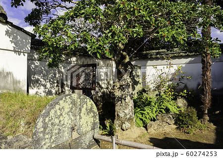 萩城城下町　田中義一生誕地　山口県萩市 60274253