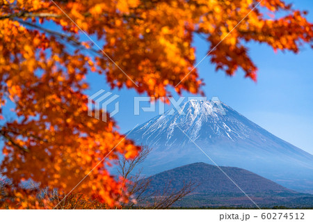 《山梨県》富士山と紅葉・日本の秋 60274512