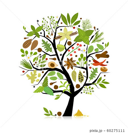 Spice shop, concept image, herbs and spices collection on tree for your design 60275111