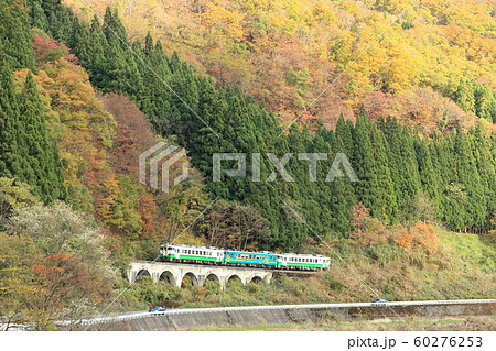 只見線「山間部の紅葉と細越拱橋を走る列車」 60276253