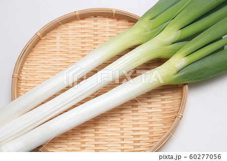 白ネギ　長ネギ　3本 60277056