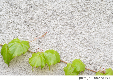 緑のフレーム 60278151